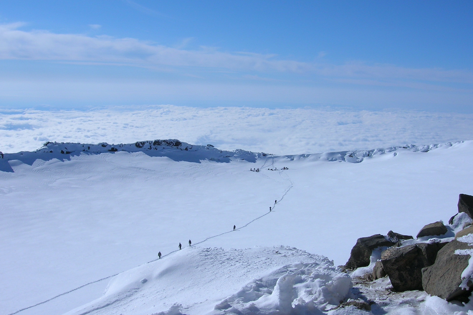 Arctic Snow